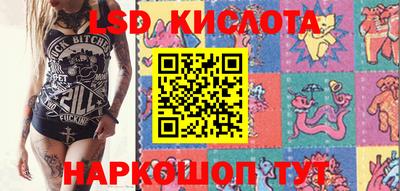 гашик Камышлов
