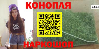 гашик Камышлов