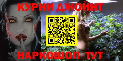 гашик Камышлов