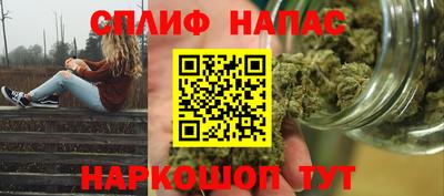 гашик Камышлов