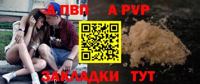 гашик Кандалакша