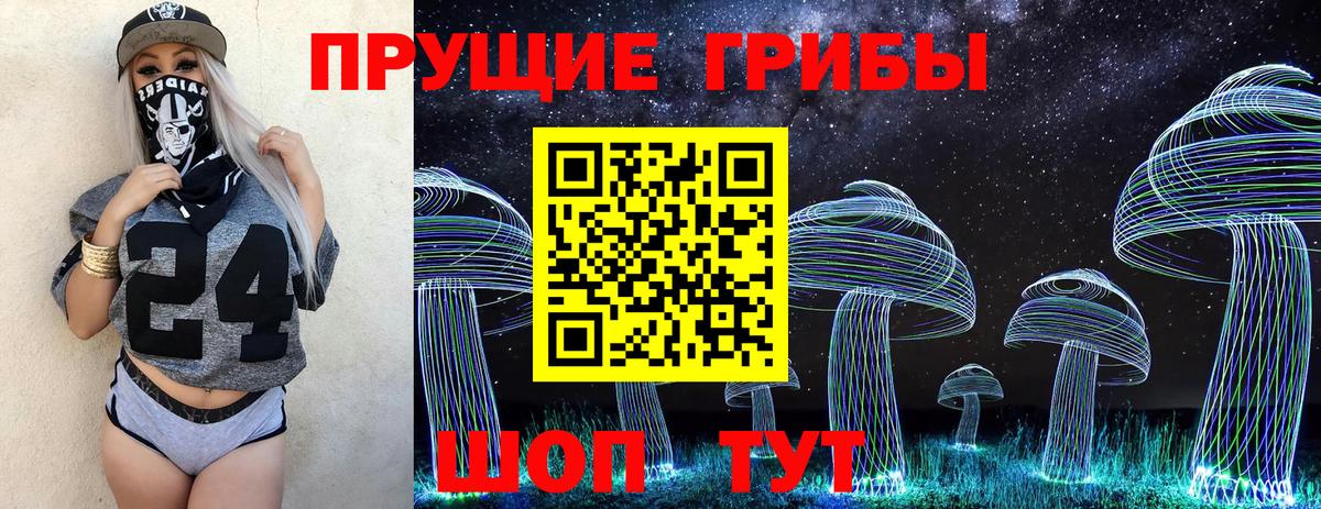Кирово-Чепецк  Галлюциногенные грибы GOLDEN TEACHER  Вход с VPN 